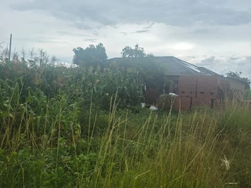 Land