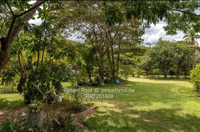  Prime 1-Acre Parktown Property with Separate Cottage