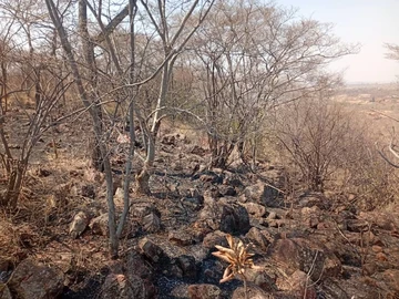 Farm & Agricultural Land