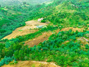 Farm & Agricultural Land