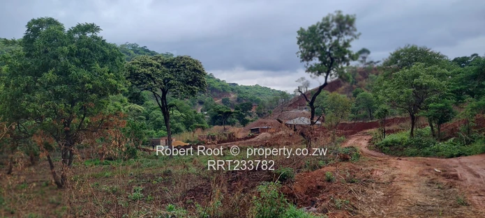 Build your dream home!