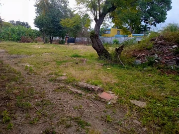 Commercial & Industrial Land