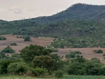 Farm & Agricultural Land for Sale - 2 x 150 hectares in Matepatepa, Bindura, Zimbabwe