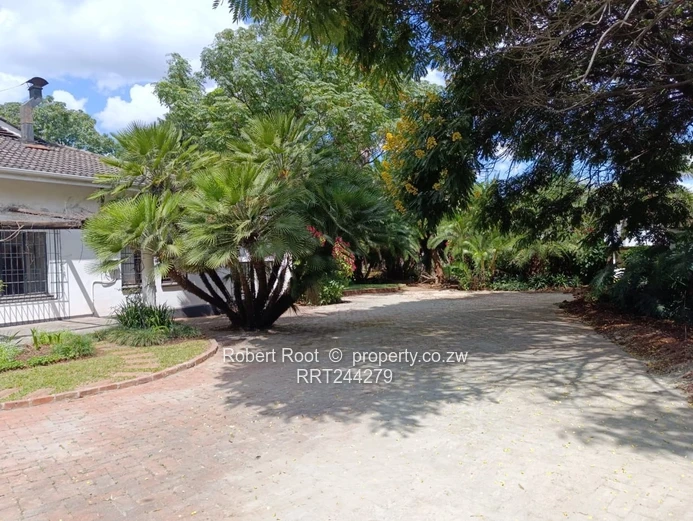 Commercial Property To Rent In Avondale