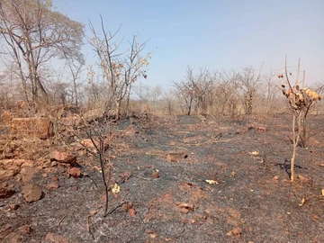 Farm & Agricultural Land