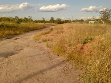 Farm & Agricultural Land