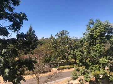 3 Bedroom Flat & Apartment