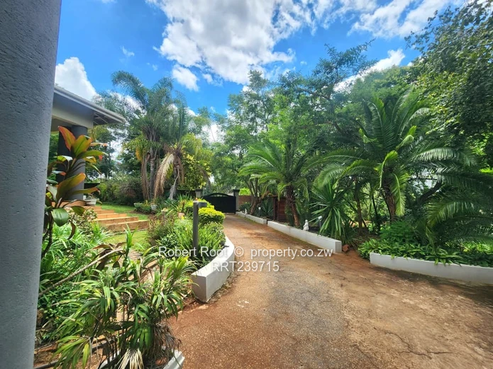 Stylish 4 Bedroom house to Rent In Helensvale