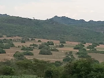 Farm & Agricultural Land