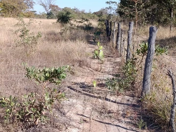 Land