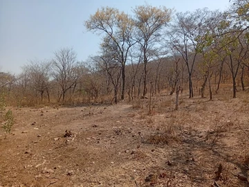 Farm & Agricultural Land