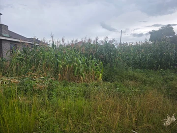 Land