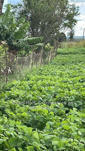 Agriculture land in Glen Forest