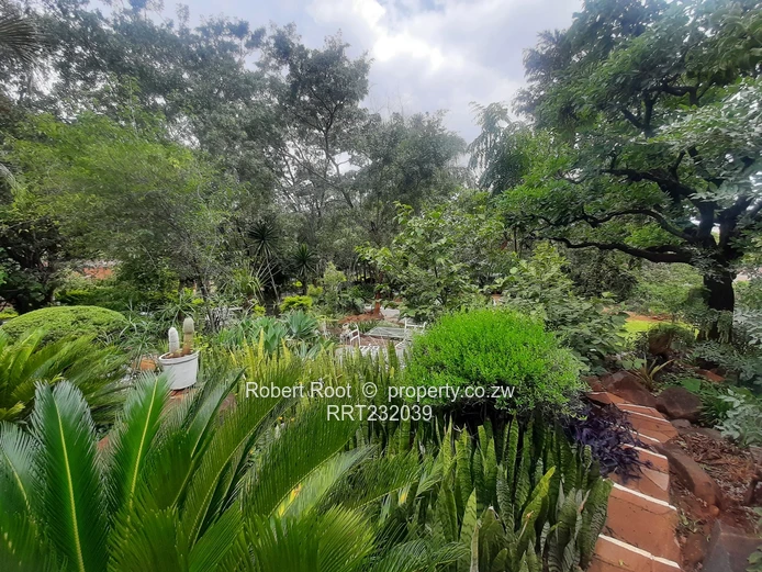 5 bed family home in Bluff Hill