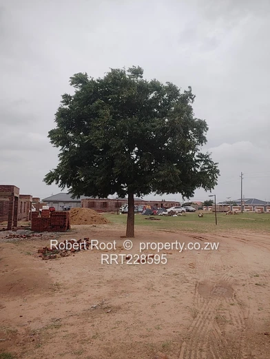 Vacant Stand for Sale