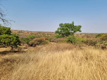 Farm & Agricultural Land