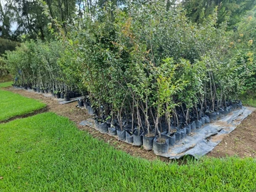 Farm & Agricultural Land