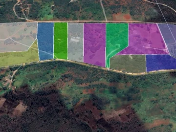 Farm & Agricultural Land