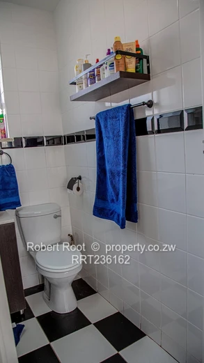 1 bed furnished apartment in Avenues