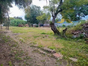 Commercial & Industrial Land