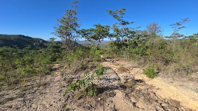 Picturesque Stand For Sale Juliasdale, Inyanga