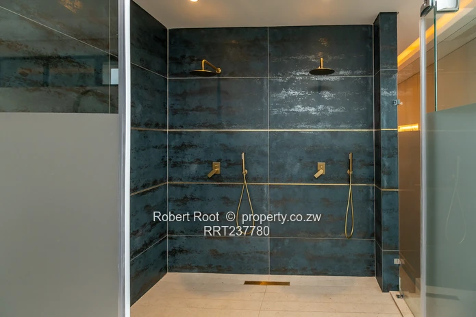 House For Sale In Borrowdale