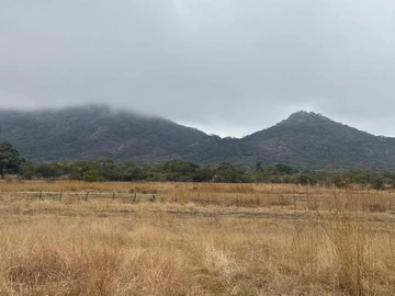 Commercial & Industrial Land