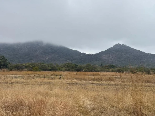 Commercial & Industrial Land