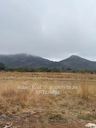 Two Prime Land for Sale in Concession (Each having 5000m2)