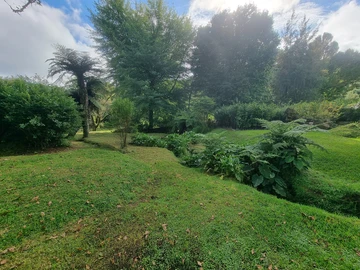 Farm & Agricultural Land