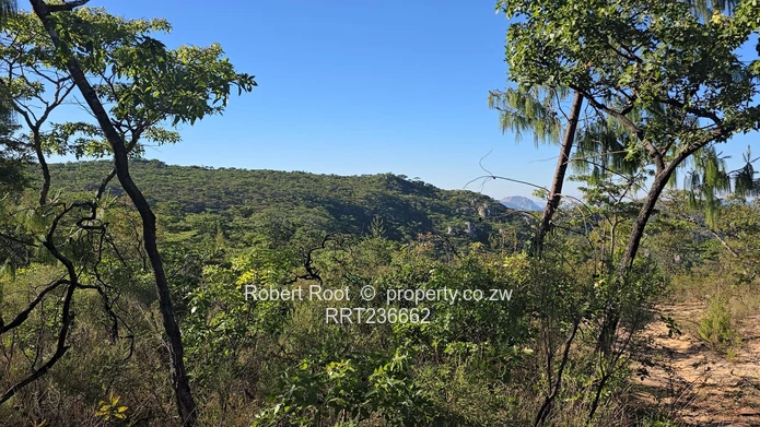Picturesque Stand For Sale Juliasdale, Inyanga