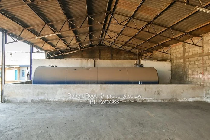 The Investment Opportunity in Willowvale