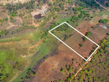 Farm & Agricultural Land