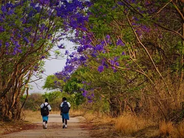 Farm & Agricultural Land