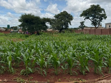 Stands & Residential Land