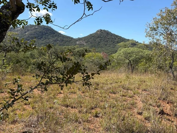 Commercial & Industrial Land