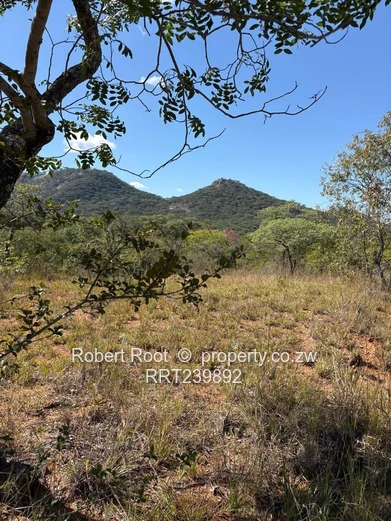 Two Prime Land for Sale in Concession (Each having 5000m2)