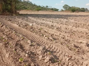 Farm & Agricultural Land