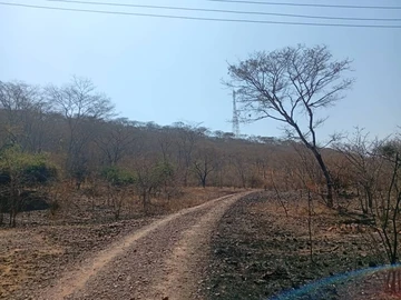Farm & Agricultural Land