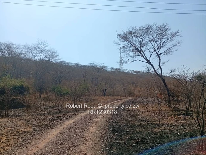 Stand For Sale In Chicago, Kwekwe
