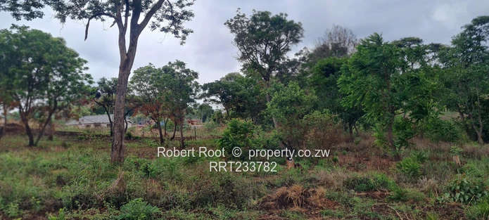 Build your dream home!