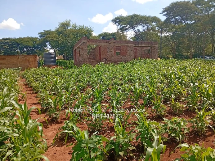 Residential Corner Stand For Sale In Glen Lorne