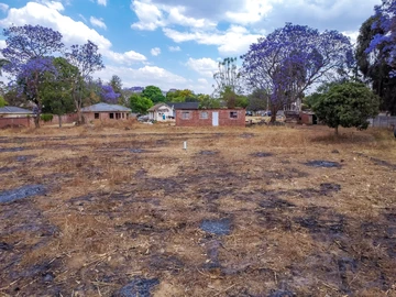 Stands & Residential Land