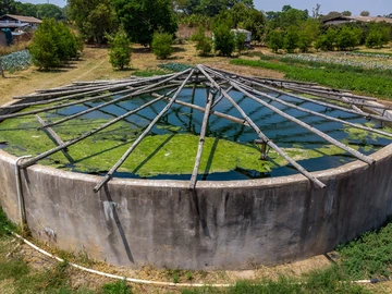 Farm & Agricultural Land