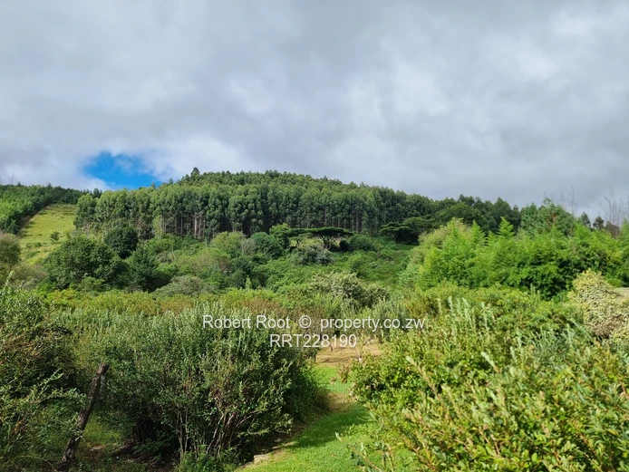 9 Acres Prime Land In Juliasdale, Nyanga (Sole Mandate)