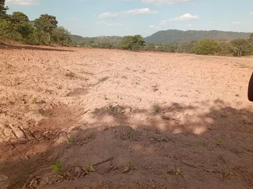 Farm & Agricultural Land