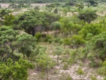 Farm & Agricultural Land