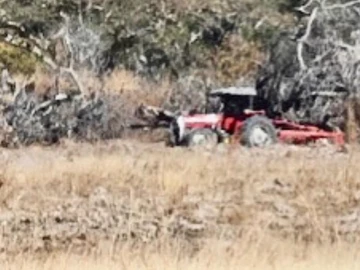 Farm & Agricultural Land