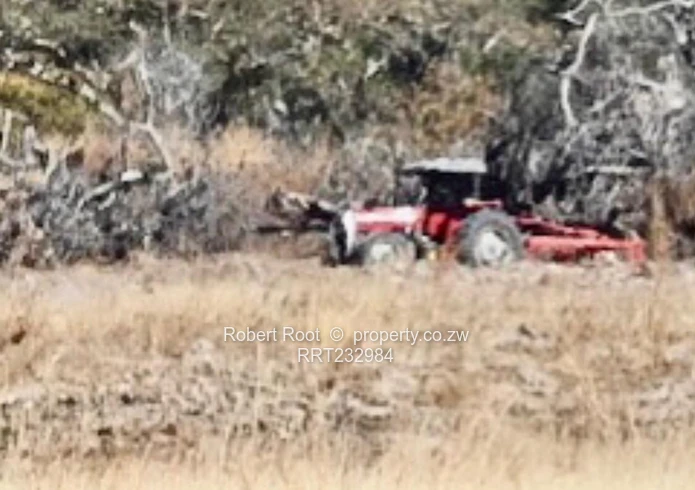 Unlock your faming potential in Beatrice