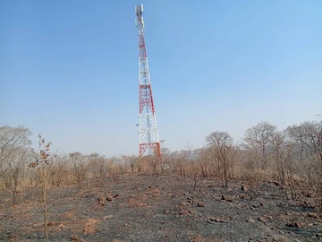 Farm & Agricultural Land